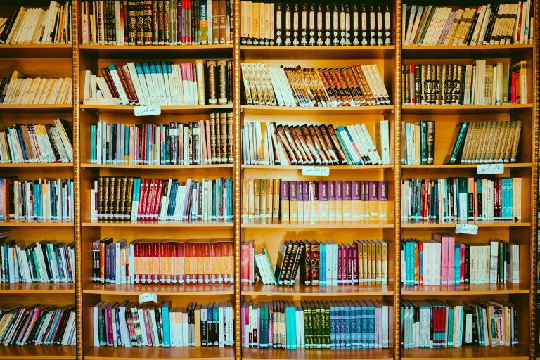 Books on Wooden Shelves